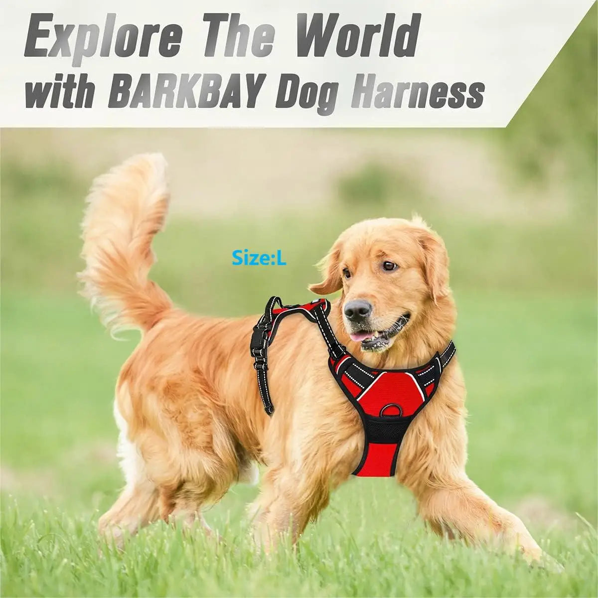 Premium No-Pull Dog Harness for Calm, Confident Walks