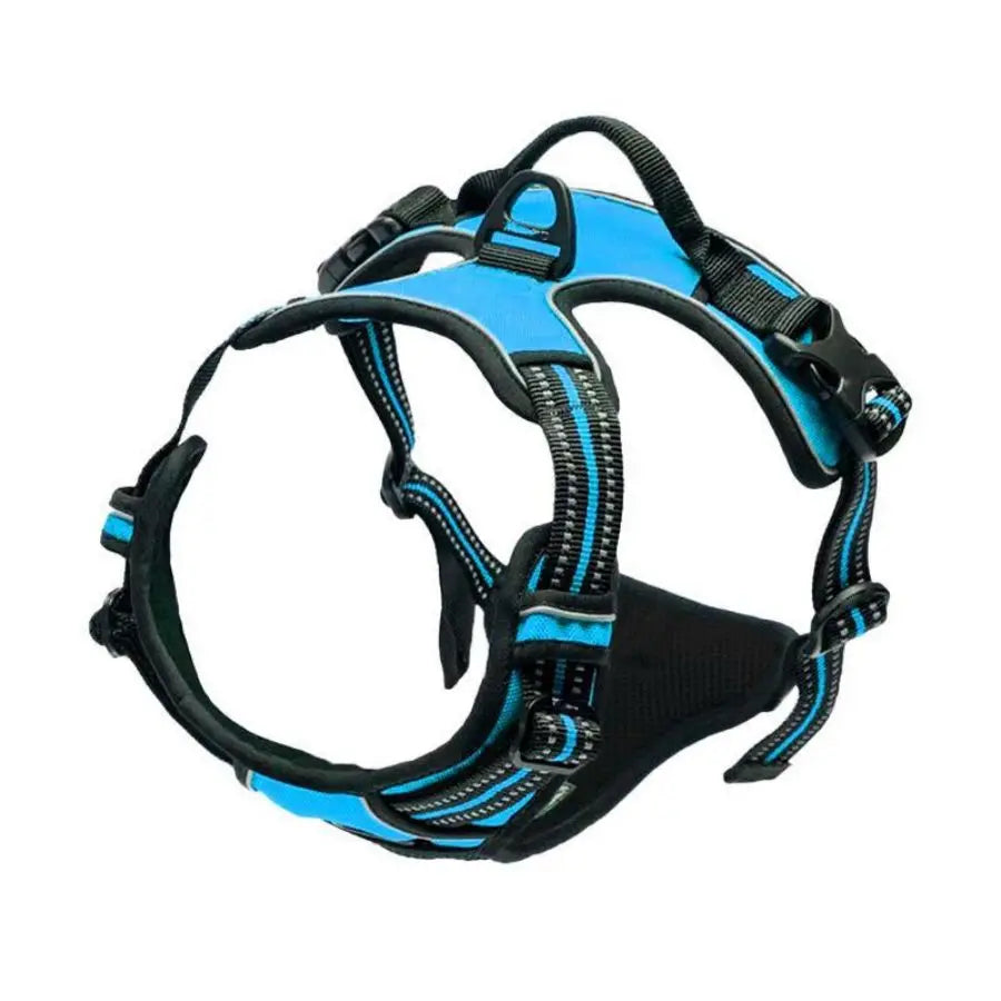 Premium No-Pull Dog Harness for Calm, Confident Walks