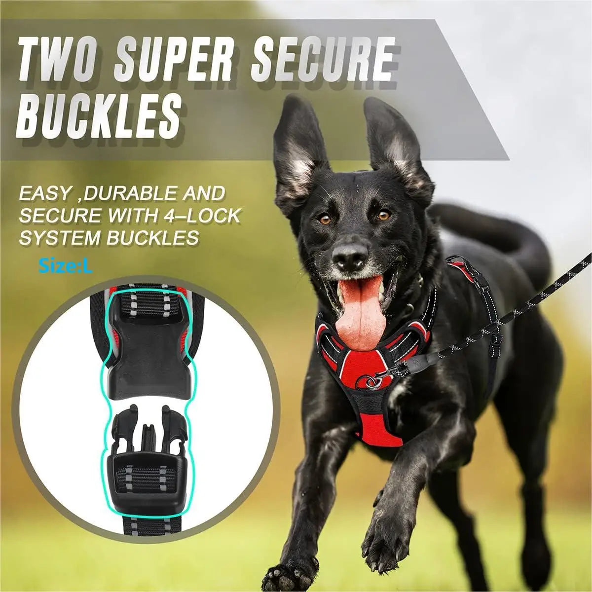 Premium No-Pull Dog Harness for Calm, Confident Walks
