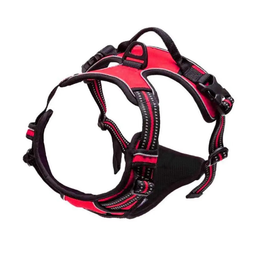 Premium No-Pull Dog Harness for Calm, Confident Walks