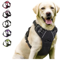 Premium No-Pull Dog Harness for Calm, Confident Walks