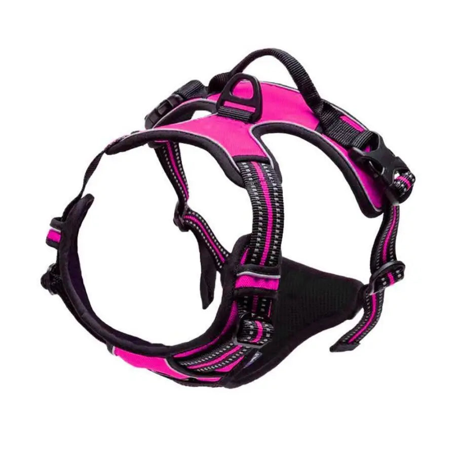 Premium No-Pull Dog Harness for Calm, Confident Walks
