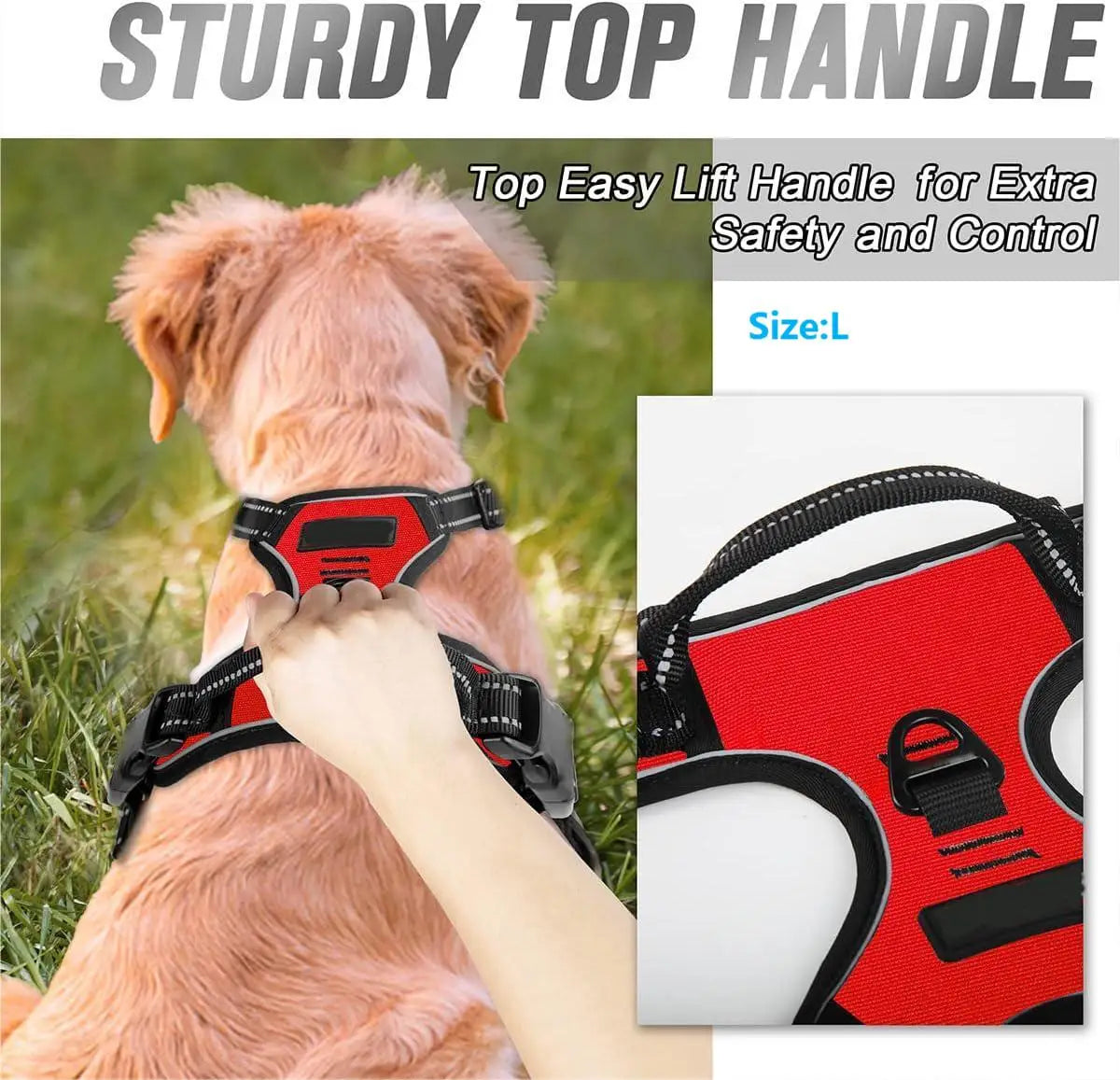 Premium No-Pull Dog Harness for Calm, Confident Walks