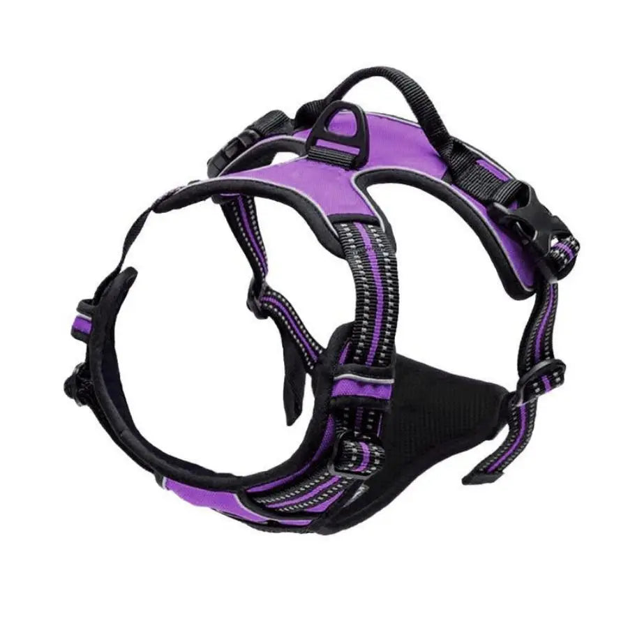 Premium No-Pull Dog Harness for Calm, Confident Walks