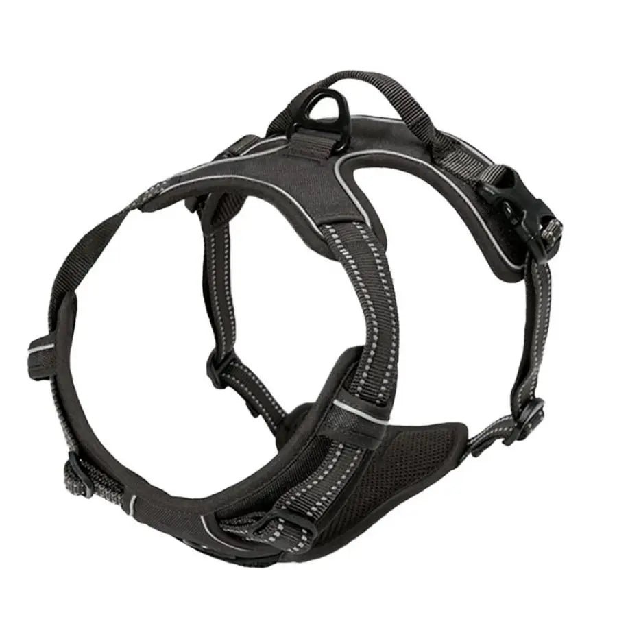 Premium No-Pull Dog Harness for Calm, Confident Walks