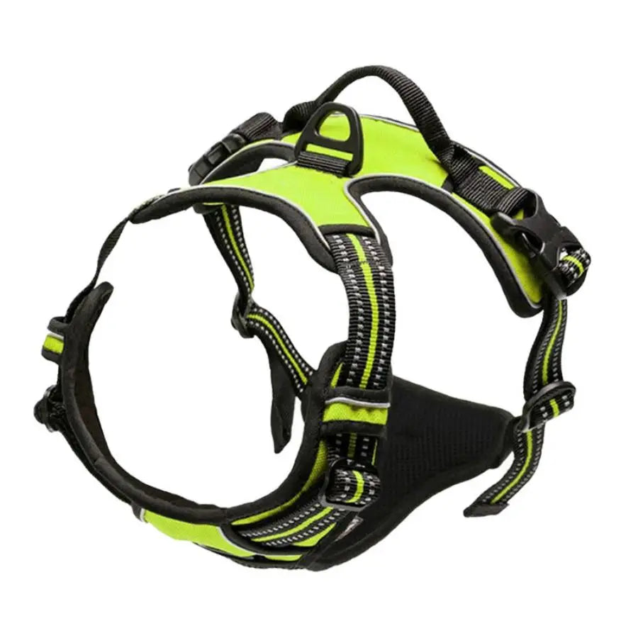 Premium No-Pull Dog Harness for Calm, Confident Walks