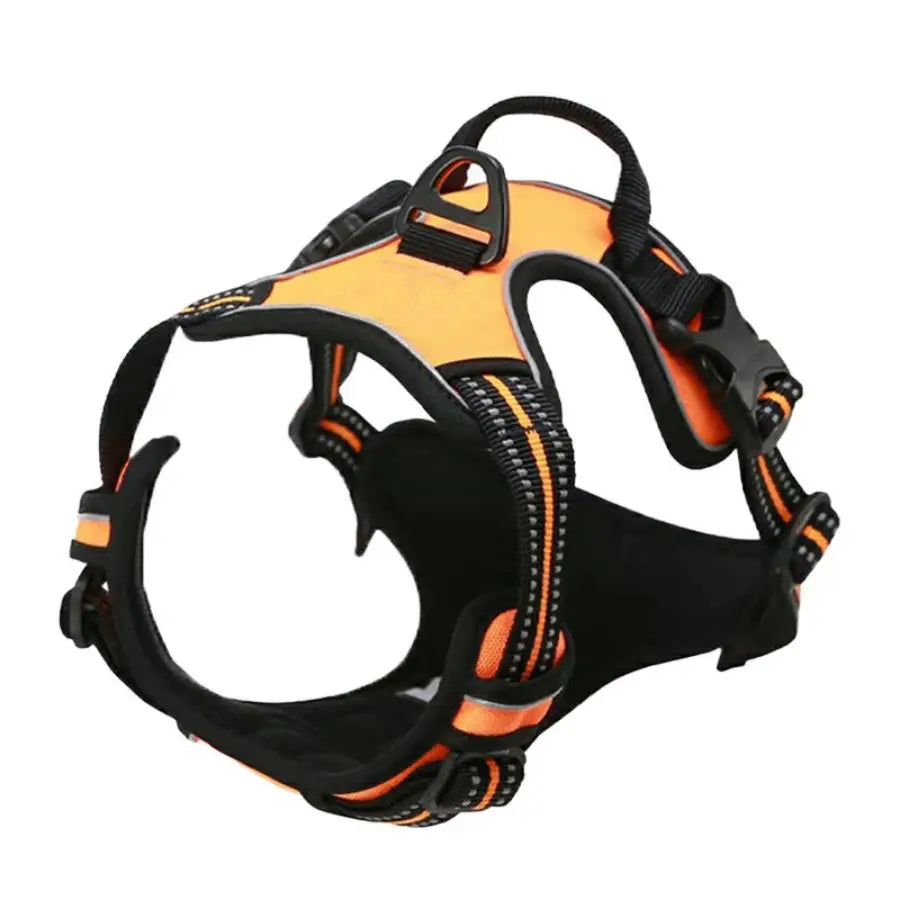 Premium No-Pull Dog Harness for Calm, Confident Walks
