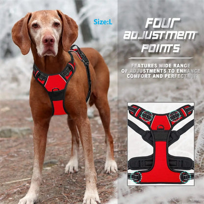 Premium No-Pull Dog Harness for Calm, Confident Walks